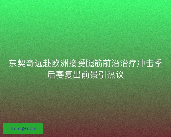 东契奇远赴欧洲接受腿筋前沿治疗冲击季后赛复出前景引热议